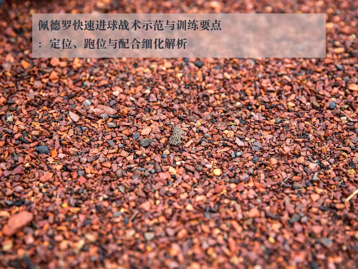 佩德罗快速进球战术示范与训练要点：定位、跑位与配合细化解析